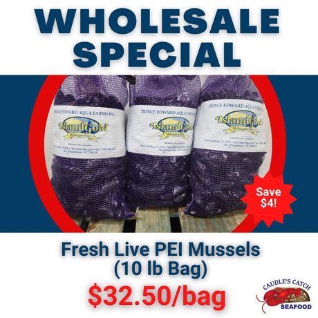 Wholesale Special: Fresh Mussels (10 lb Bag)