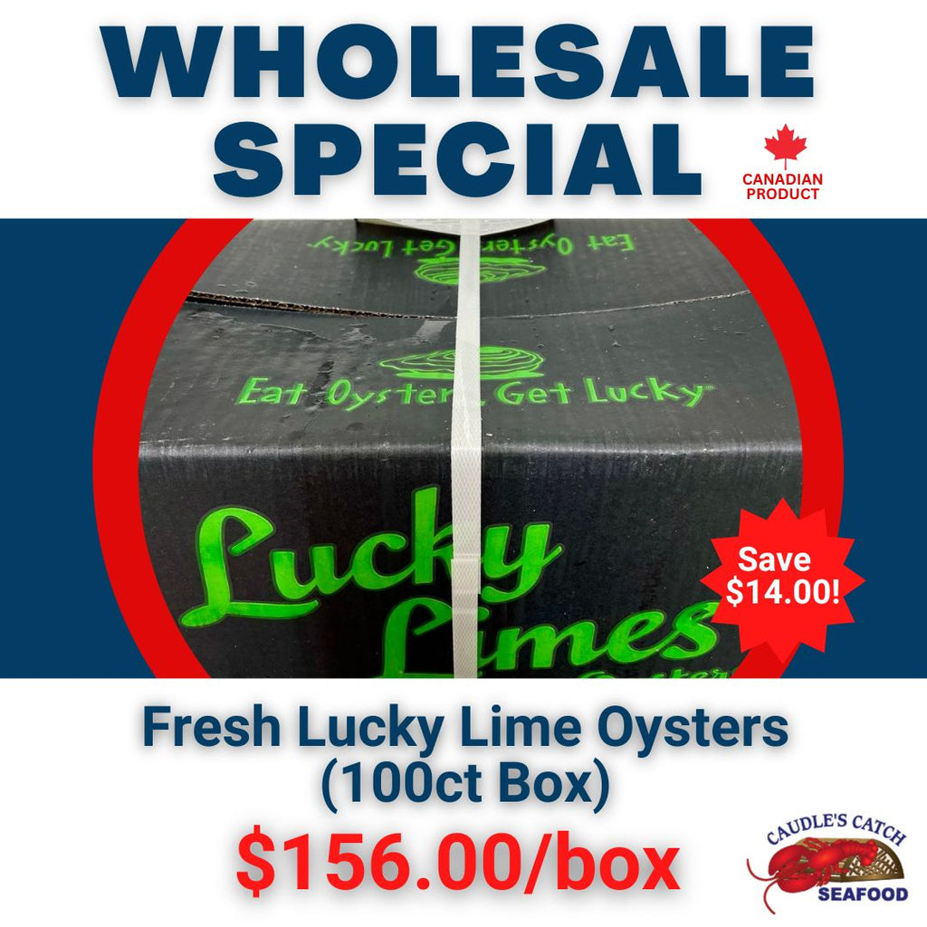 Wholesale Special: Fresh  Lucky Lime Oysters (100ct Box)