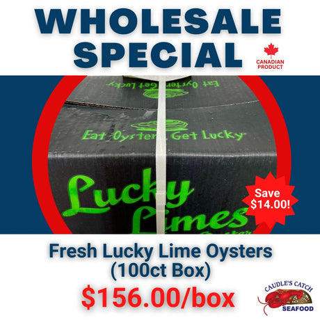 Wholesale Special: Fresh  Lucky Lime Oysters (100ct Box)