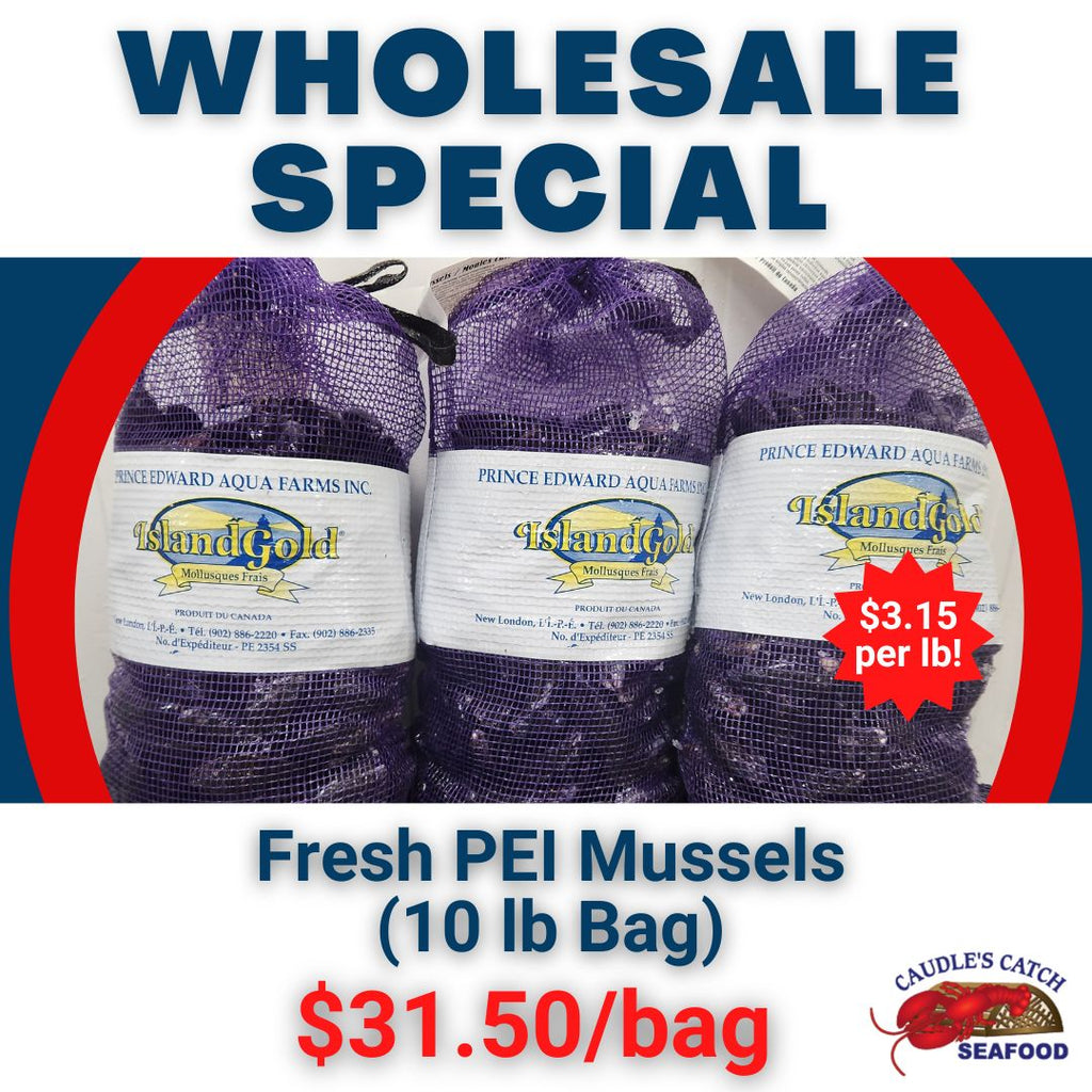 Wholesale Special: Fresh Littleneck Clams (5 lb bag)