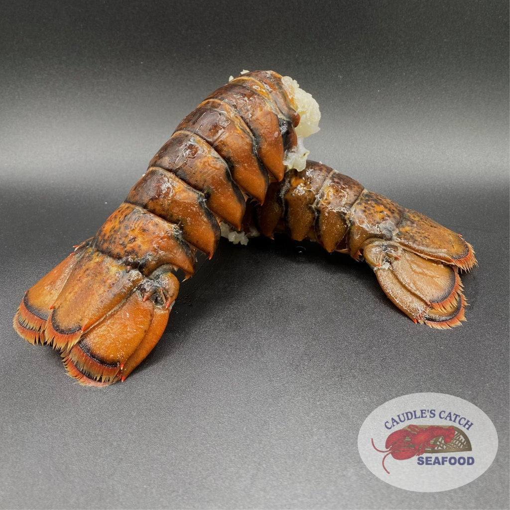 Lobster Tail Canadian 3oz (Twin Pack)