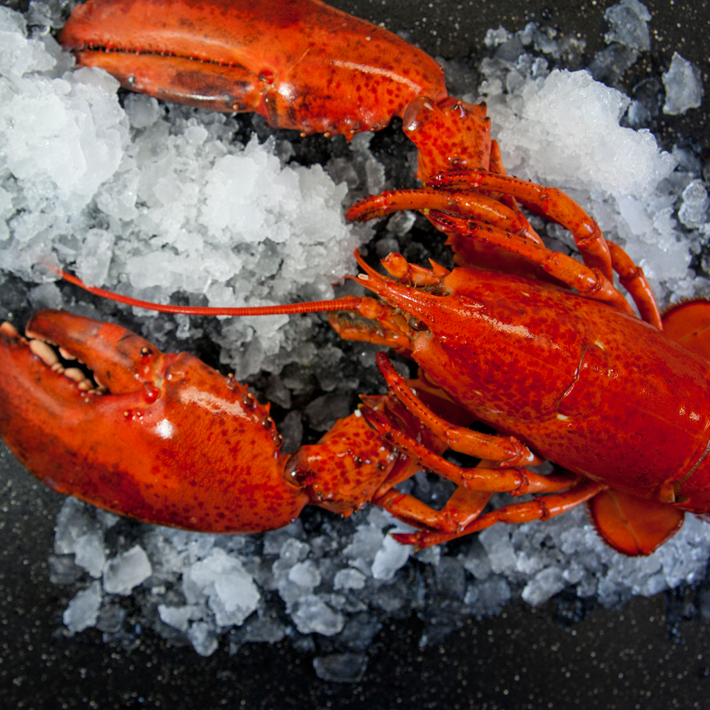 Lobster Cooked Canadian Atlantic "Halves" (1.61 lb avg. @ $21.99/lb)