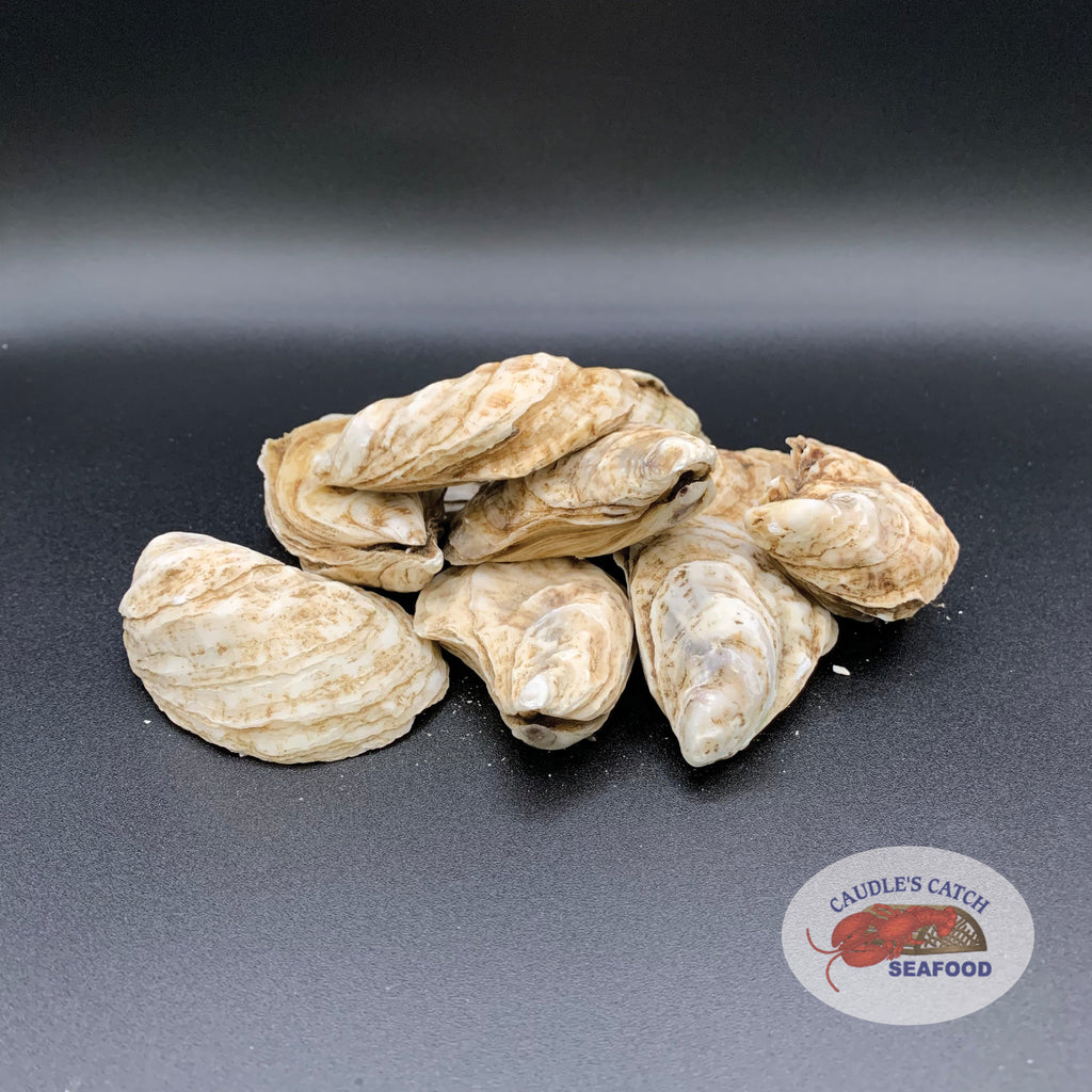 Lovey Dovey Cocktail Oysters