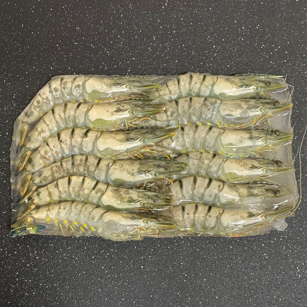 Whole Black Tiger Shrimp