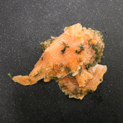 Gravlax Cured Atlantic Salmon