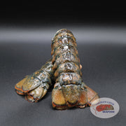 Lobster Tails Jumbo Canadian Atlantic (Various sizes @ $49.99/lb!)