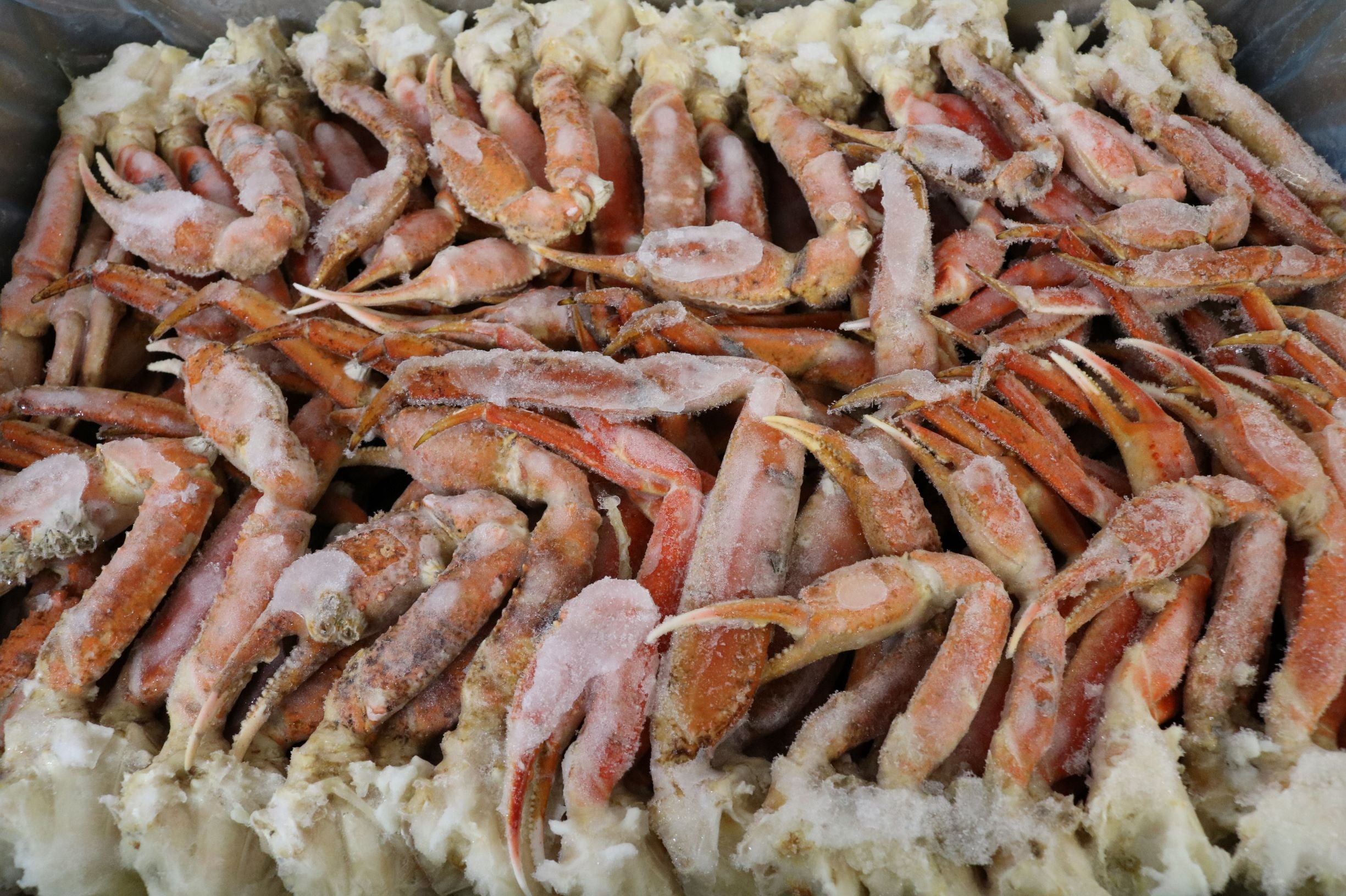 Snow Crab Size Chart