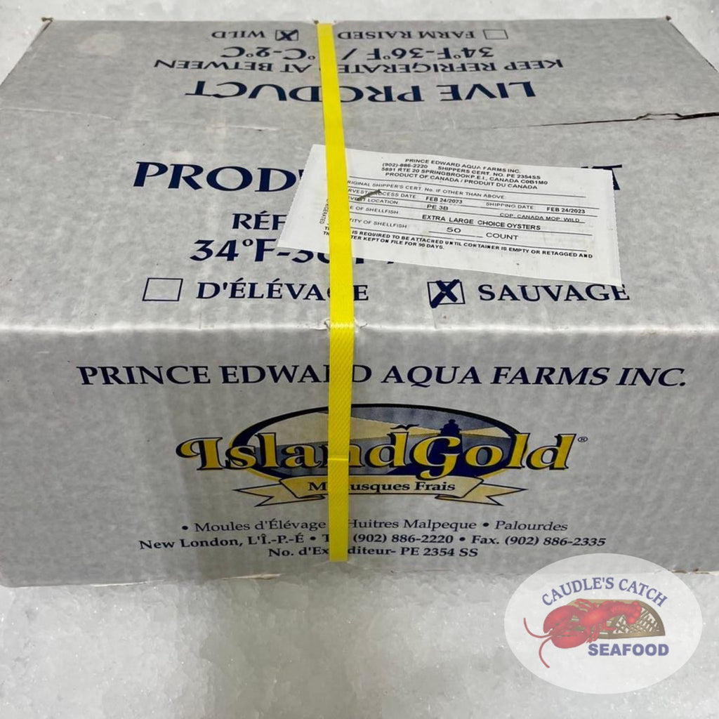 Fresh Jumbo Choice Malpeque Oysters