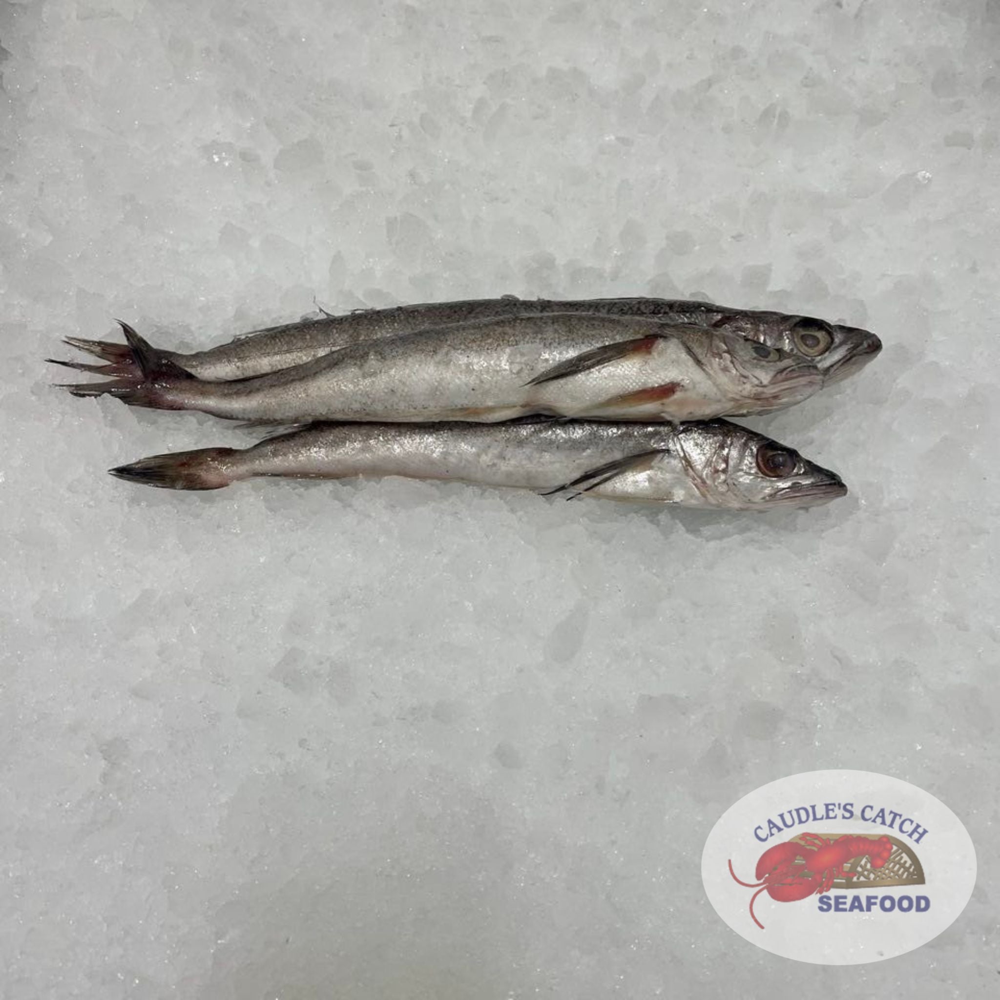 10lb box of whiting fish Fresh Whole Whiting