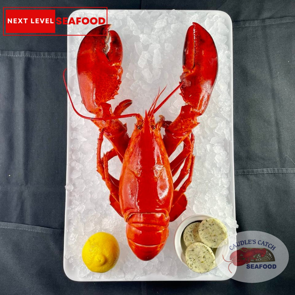 Lobster Cooked Canadian Atlantic "Selects" (2.2 lb avg @ $17.99/lb)
